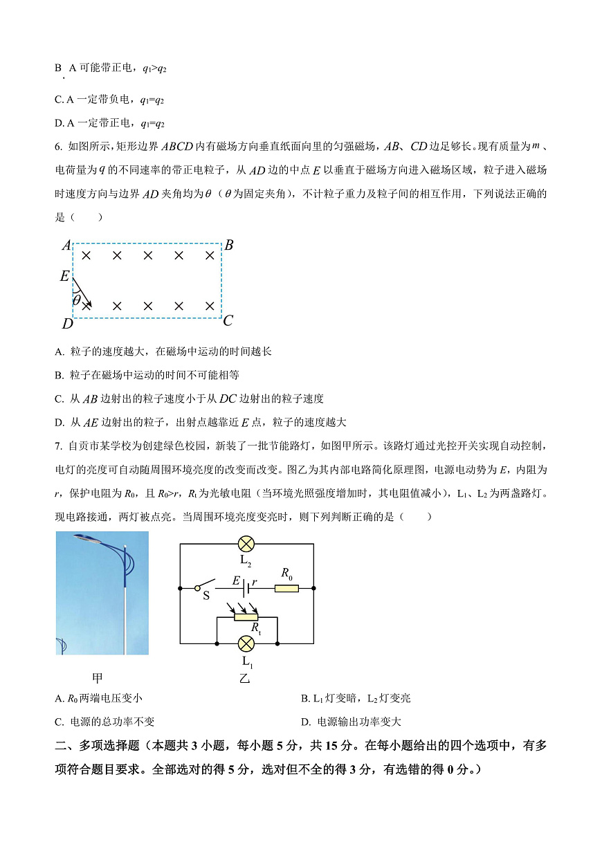 四川省自贡市2024-2025学年高二上学期1月期末物理试题  Word版无答案第3页