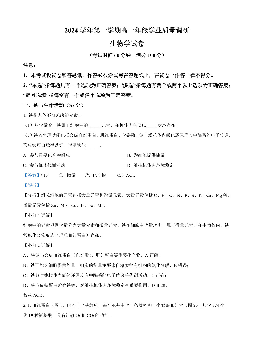 上海市闵行区2024-2025学年高一上学期期末生物试题  Word版含解析第1页