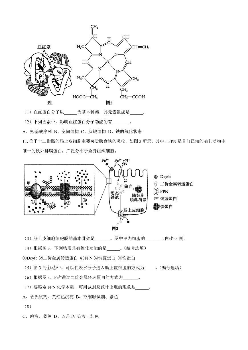 上海市闵行区2024-2025学年高一上学期期末生物试题  Word版含解析第2页