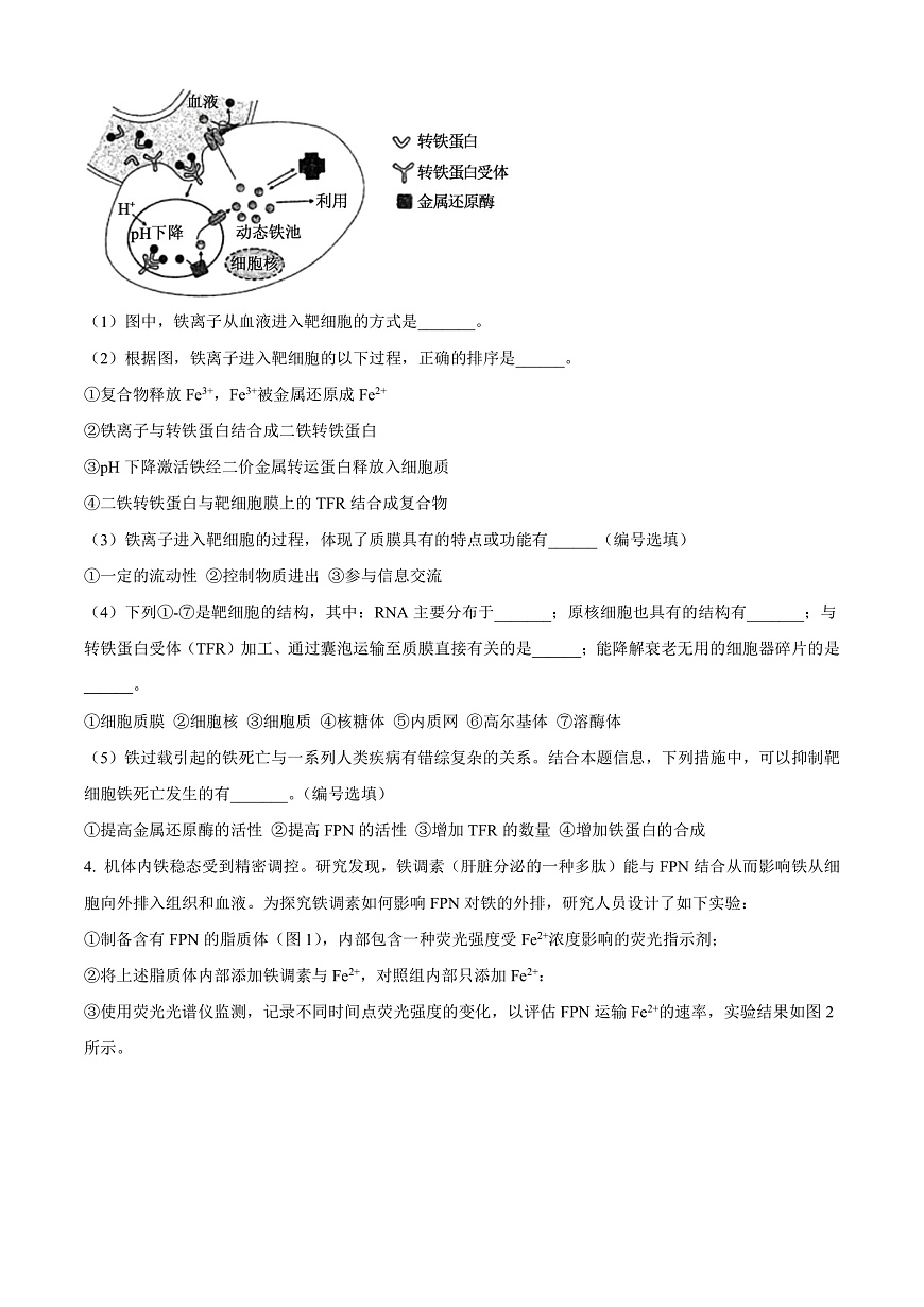 上海市闵行区2024-2025学年高一上学期期末生物试题  Word版无答案第3页