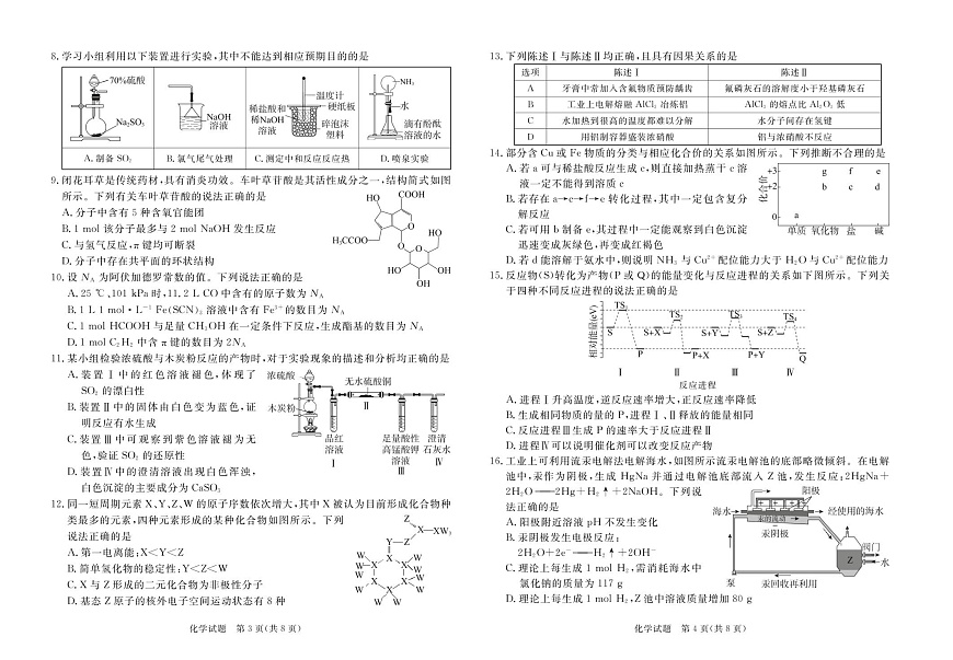 2025年湛江市高三第一次调研考试化学试卷第2页