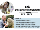 2.2.3 动物体细胞核移植技术和克隆动物（教学课件）-2024-2025学年高二生物（人教版2019选择性必修3）