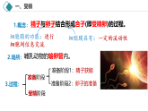 2.3.1 胚胎工程的理论基础（教学课件）-2024-2025学年高二生物（人教版2019选择性必修3）