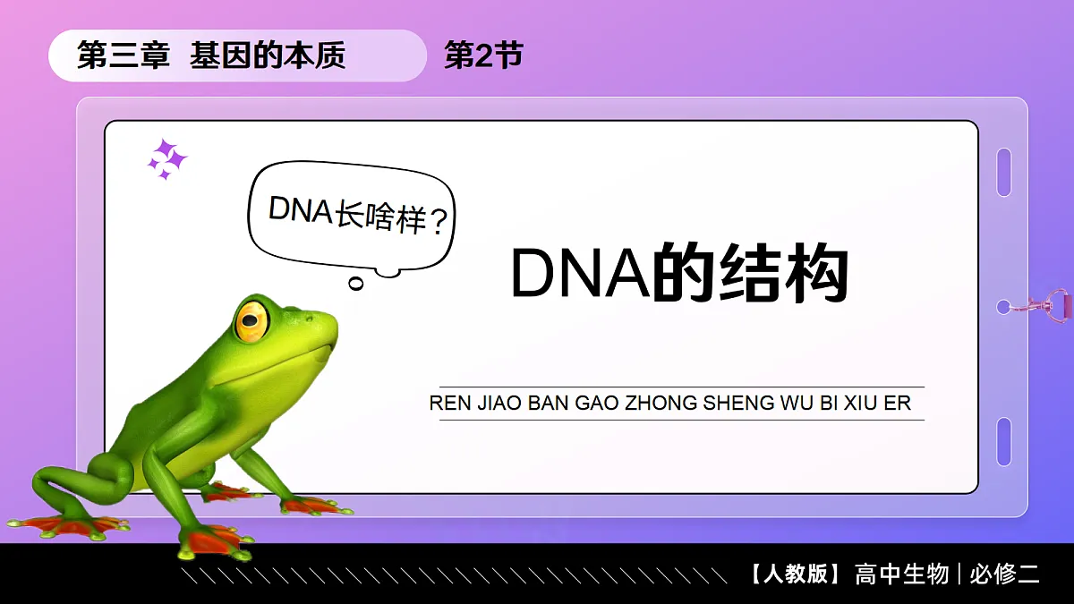 3.2 DNA的结构（教学课件）-2024-2025学年高一生物（人教版2019必修2）第2页