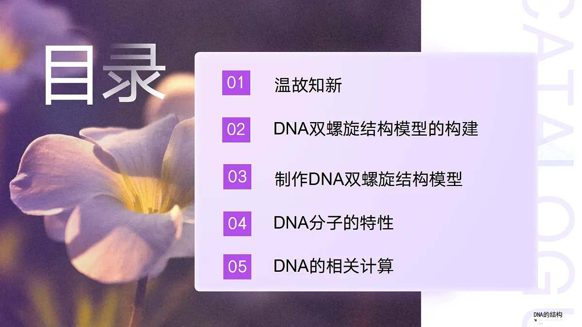 3.2 DNA的结构（教学课件）-2024-2025学年高一生物（人教版2019必修2）第3页