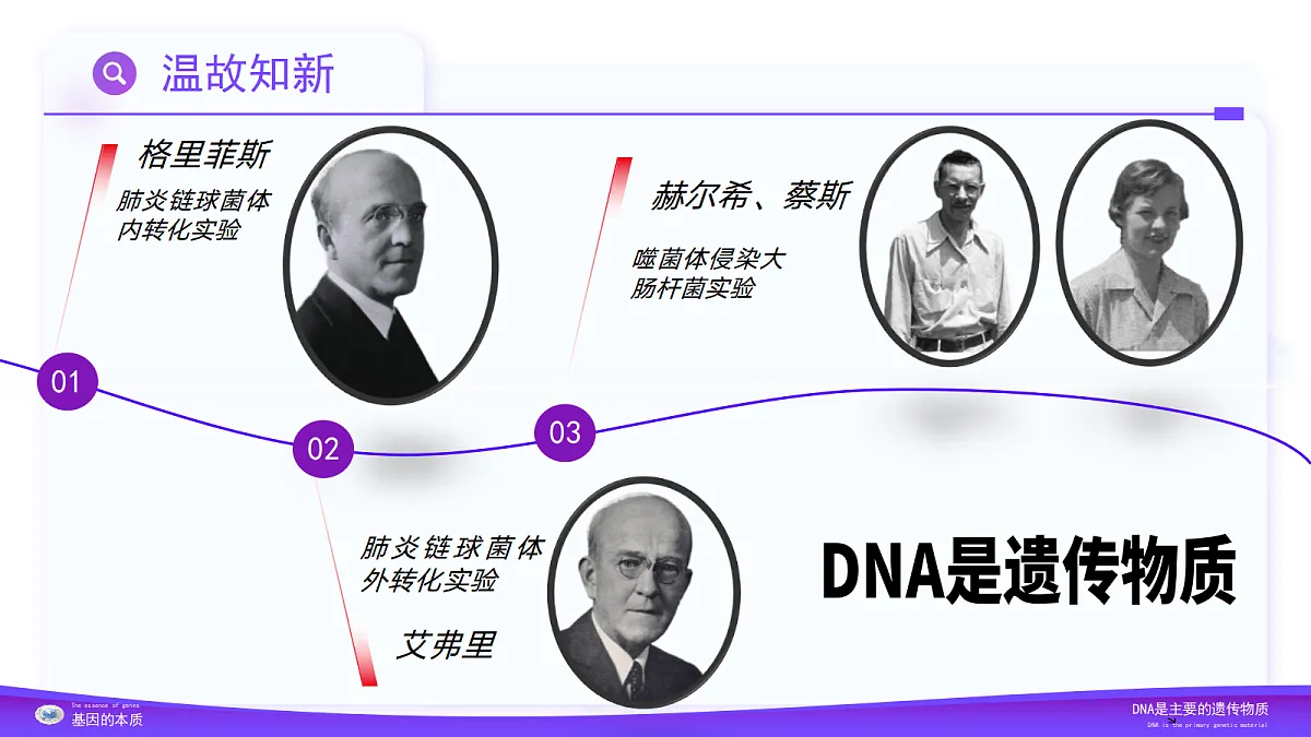 3.2 DNA的结构（教学课件）-2024-2025学年高一生物（人教版2019必修2）第4页