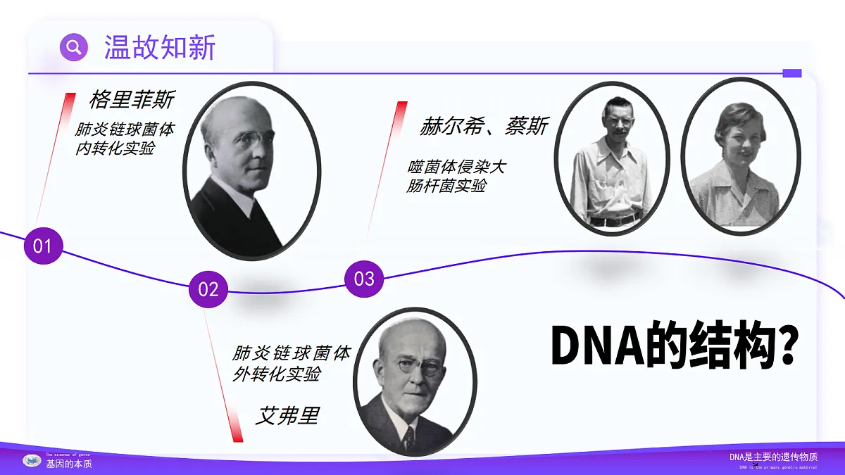 3.2 DNA的结构（教学课件）-2024-2025学年高一生物（人教版2019必修2）第5页