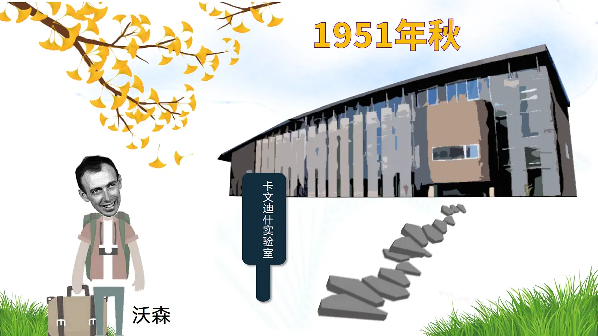 3.2 DNA的结构（教学课件）-2024-2025学年高一生物（人教版2019必修2）第7页