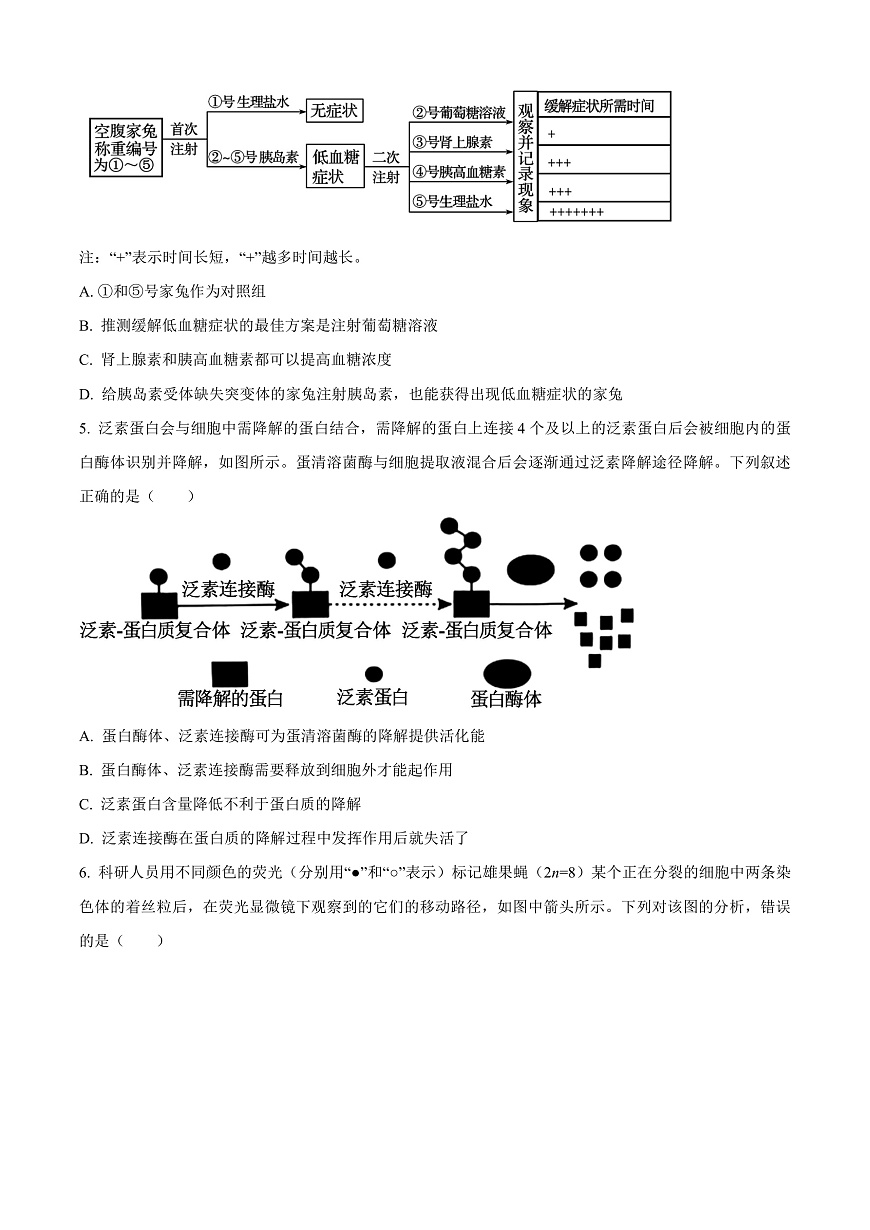 河北省邢台市2024-2025学年高三上学期期末考试生物试题  Word版无答案第2页