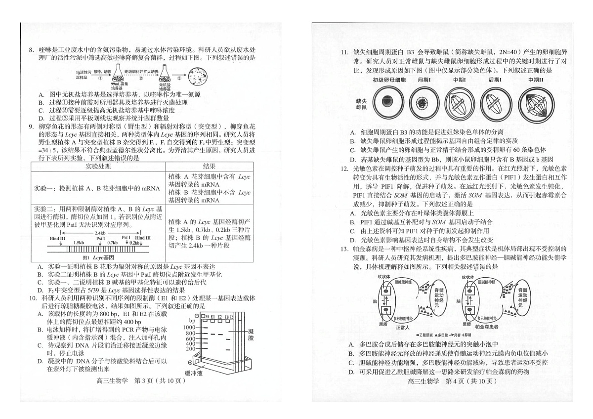 2025届福建省龙岩市高三下学期高中毕业班3月教学质量检测生物试题（扫描版有答案）第2页