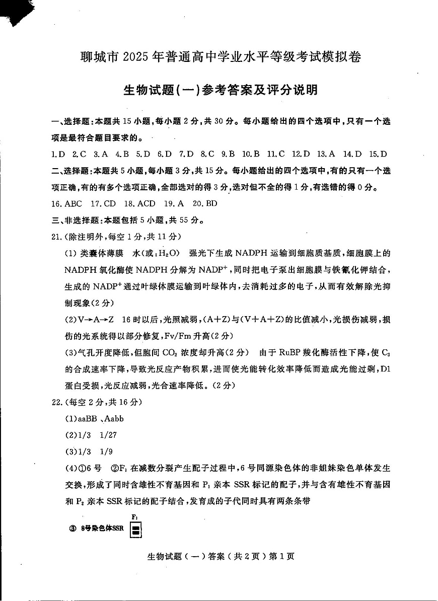 山东省聊城市2025年普通高中学业水平等级考试模拟卷生物答案第1页