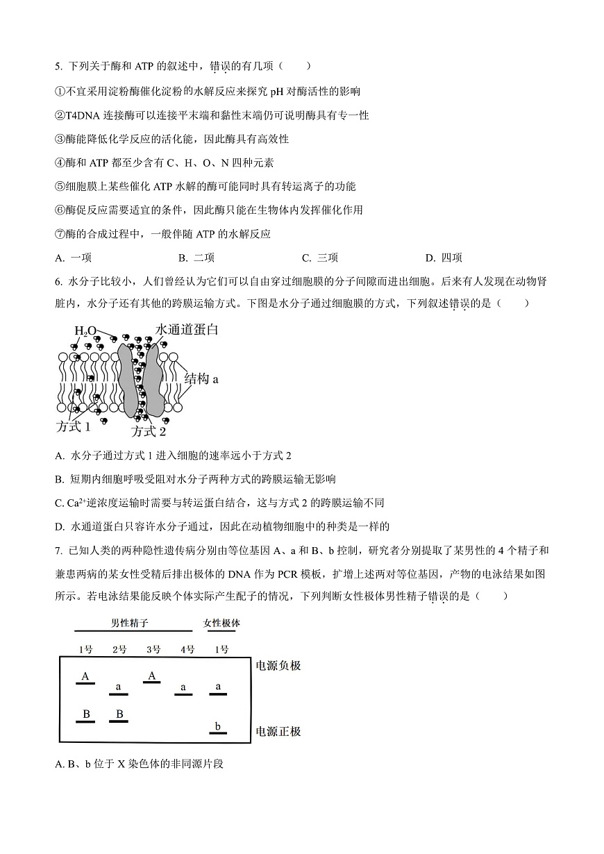 云南省曲靖市2024-2025学年高三上学期第一次教学质量监测生物试题  Word版无答案第2页