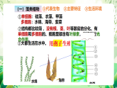 蘇教版生物八年級(jí)上冊第十四章《豐富多彩的生物世界（一)》（考點(diǎn)串講課件）