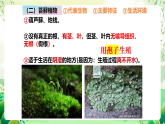 蘇教版生物八年級(jí)上冊第十四章《豐富多彩的生物世界（一)》（考點(diǎn)串講課件）