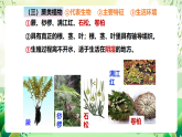 蘇教版生物八年級(jí)上冊第十四章《豐富多彩的生物世界（一)》（考點(diǎn)串講課件）