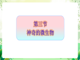 蘇教版生物八年級(jí)上冊第十四章《豐富多彩的生物世界（二)》（考點(diǎn)串講課件）