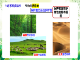 蘇教版生物八年級(jí)上冊(cè)第十五章《生物多樣性及其保護(hù)》（考點(diǎn)串講課件）