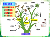 蘇教版生物八年級上冊第十六章《生命起源和生物進(jìn)化》（考點(diǎn)串講課件）
