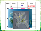 蘇教版生物八年級(jí)上冊第十七章《動(dòng)物的運(yùn)動(dòng)》（考點(diǎn)串講課件）