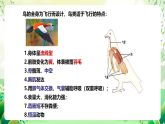 蘇教版生物八年級(jí)上冊第十七章《動(dòng)物的運(yùn)動(dòng)》（考點(diǎn)串講課件）