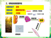 蘇教版生物八年級(jí)上冊第十七章《動(dòng)物的運(yùn)動(dòng)》（考點(diǎn)串講課件）