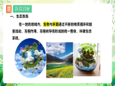 蘇教版生物八年級(jí)上冊(cè)第十九章《生態(tài)系統(tǒng)》、第二十章《生物圈是最大的生態(tài)系統(tǒng)》（考點(diǎn)串講課件）