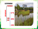 蘇教版生物八年級(jí)上冊(cè)第十九章《生態(tài)系統(tǒng)》、第二十章《生物圈是最大的生態(tài)系統(tǒng)》（考點(diǎn)串講課件）