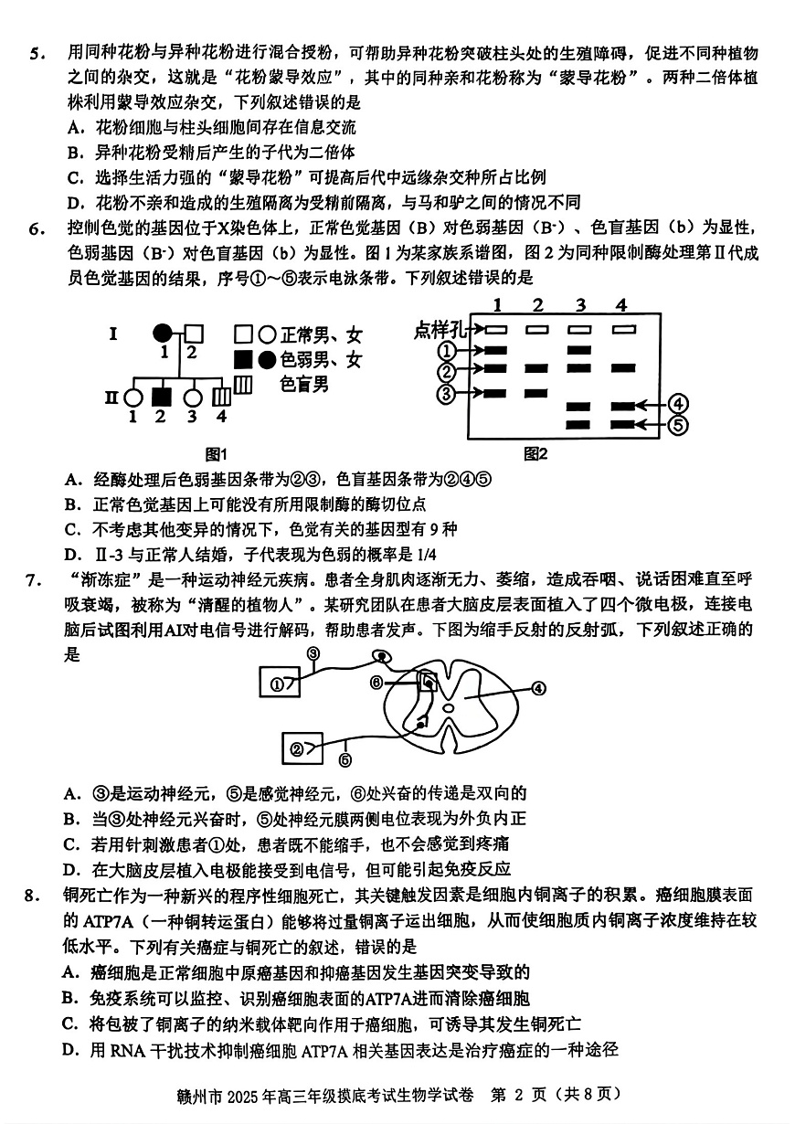 江西省赣州市2025年高三年级3月摸底考试生物第2页