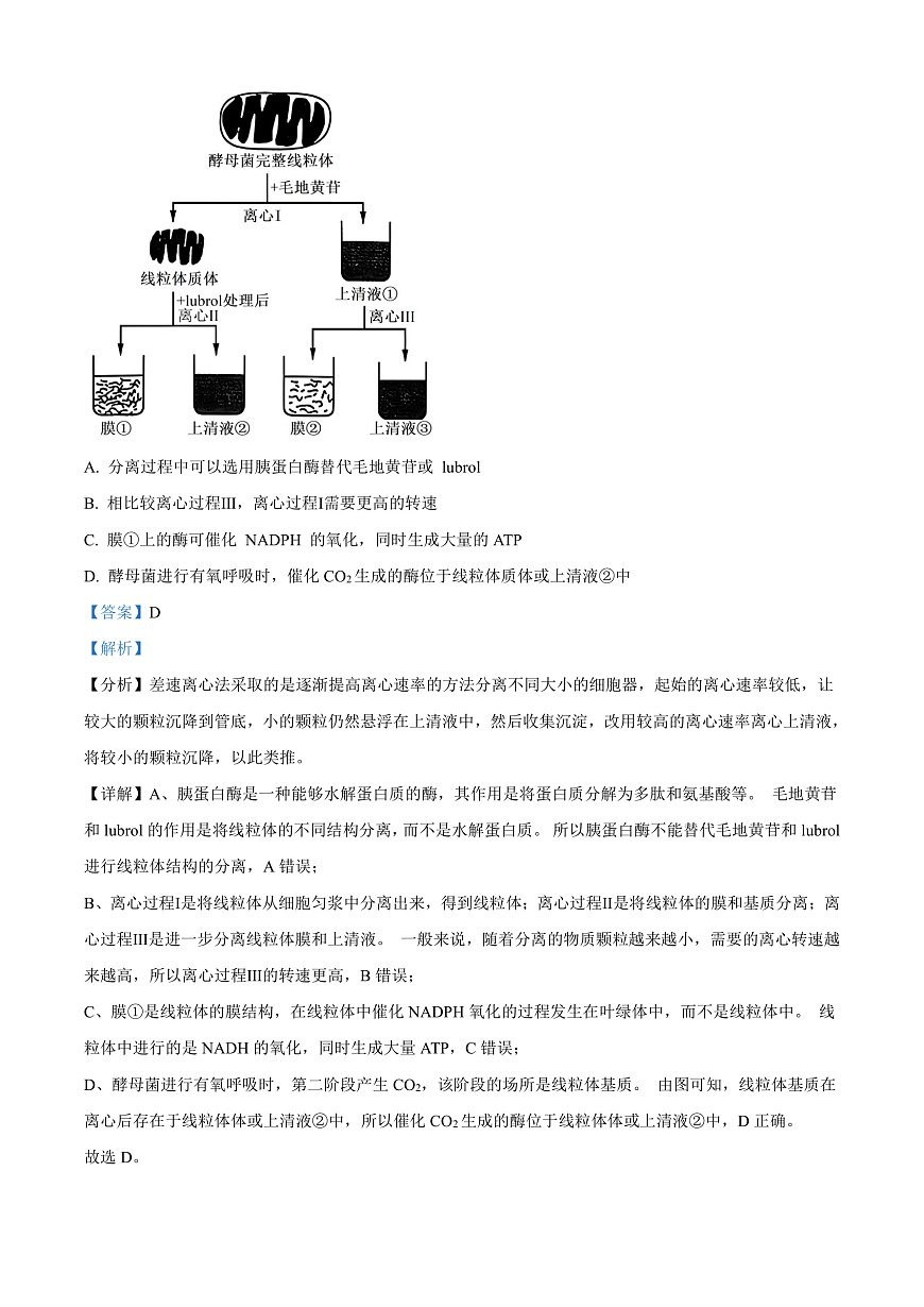 2025届山东省名校联盟高三下学期2月开学考试生物试题  Word版含解析第3页