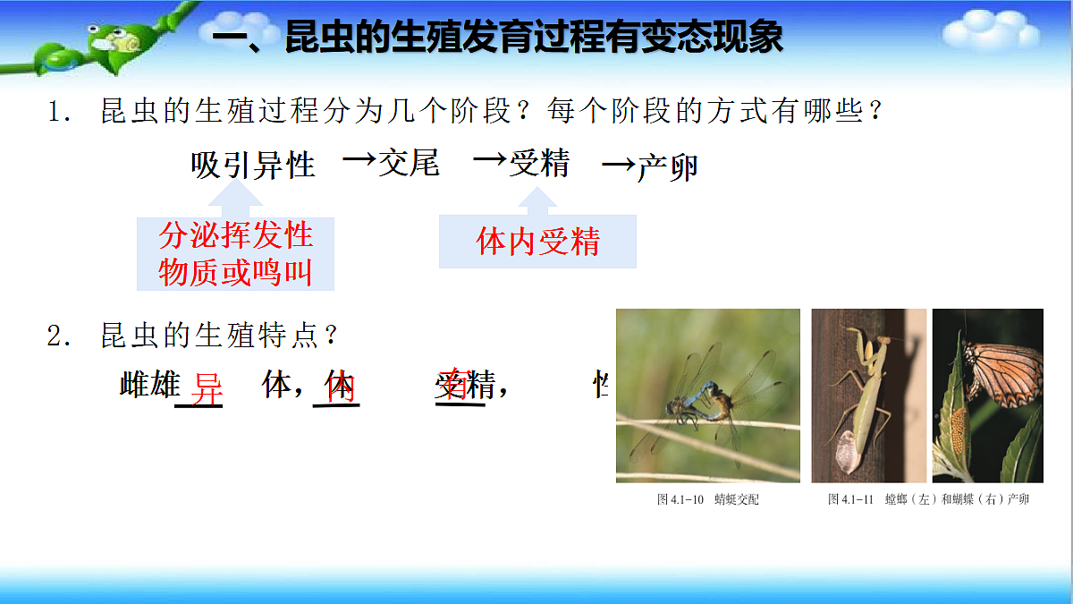 4.1.2 有性生殖增加了后代的多样性 - 初中生物七年级下册 同步教学课件（济南版2024）第4页