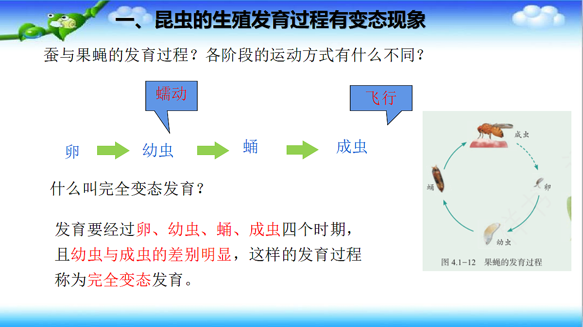 4.1.2 有性生殖增加了后代的多样性 - 初中生物七年级下册 同步教学课件（济南版2024）第6页