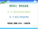 4.3.1 DNA是主要的遺傳物質(zhì) - 初中生物七年級(jí)下冊(cè) 同步教學(xué)課件（濟(jì)南版2024）(無(wú)視頻素材）