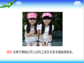 4.3.1 DNA是主要的遺傳物質(zhì) - 初中生物七年級(jí)下冊(cè) 同步教學(xué)課件（濟(jì)南版2024）(無(wú)視頻素材）