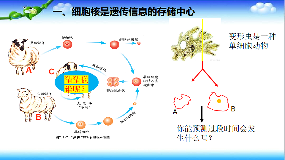 4.3.1 DNA是主要的遗传物质 - 初中生物七年级下册 同步教学课件（济南版2024）第8页