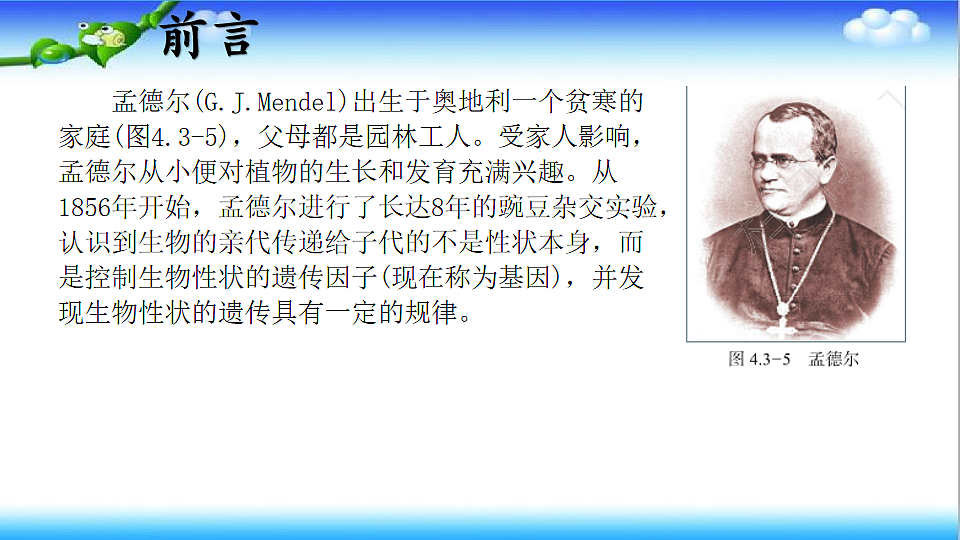 4.3.2 生物的性状主要由基因决定 - 初中生物七年级下册 同步教学课件（济南版2024）第2页