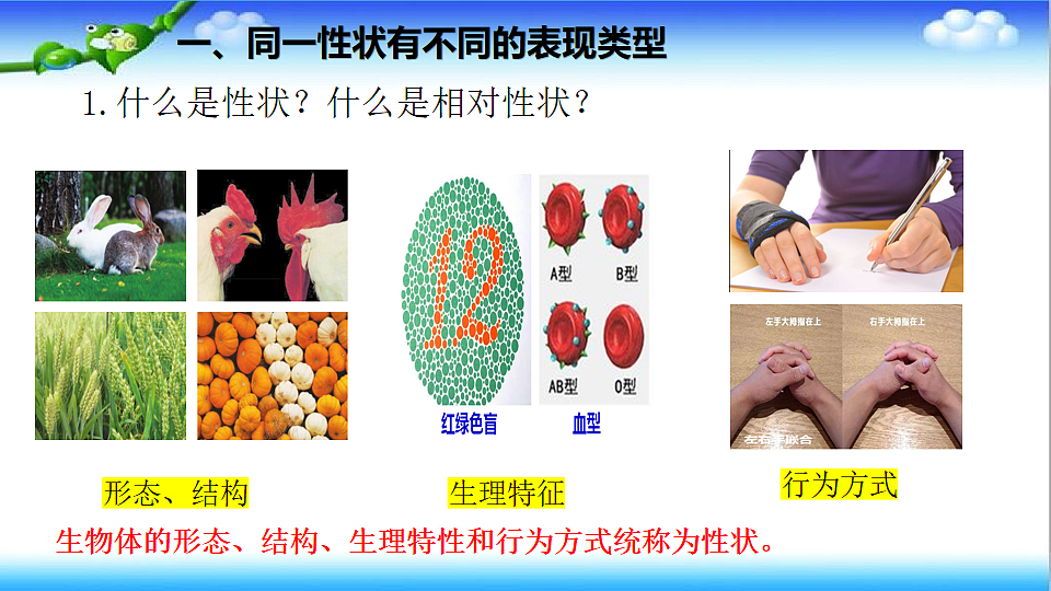 4.3.2 生物的性状主要由基因决定 - 初中生物七年级下册 同步教学课件（济南版2024）第4页