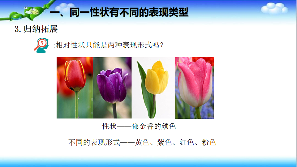 4.3.2 生物的性状主要由基因决定 - 初中生物七年级下册 同步教学课件（济南版2024）第7页