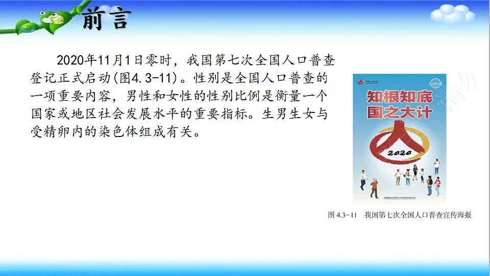 4.3.3 性染色体决定人的性别 - 初中生物七年级下册 同步教学课件（济南版2024）第2页