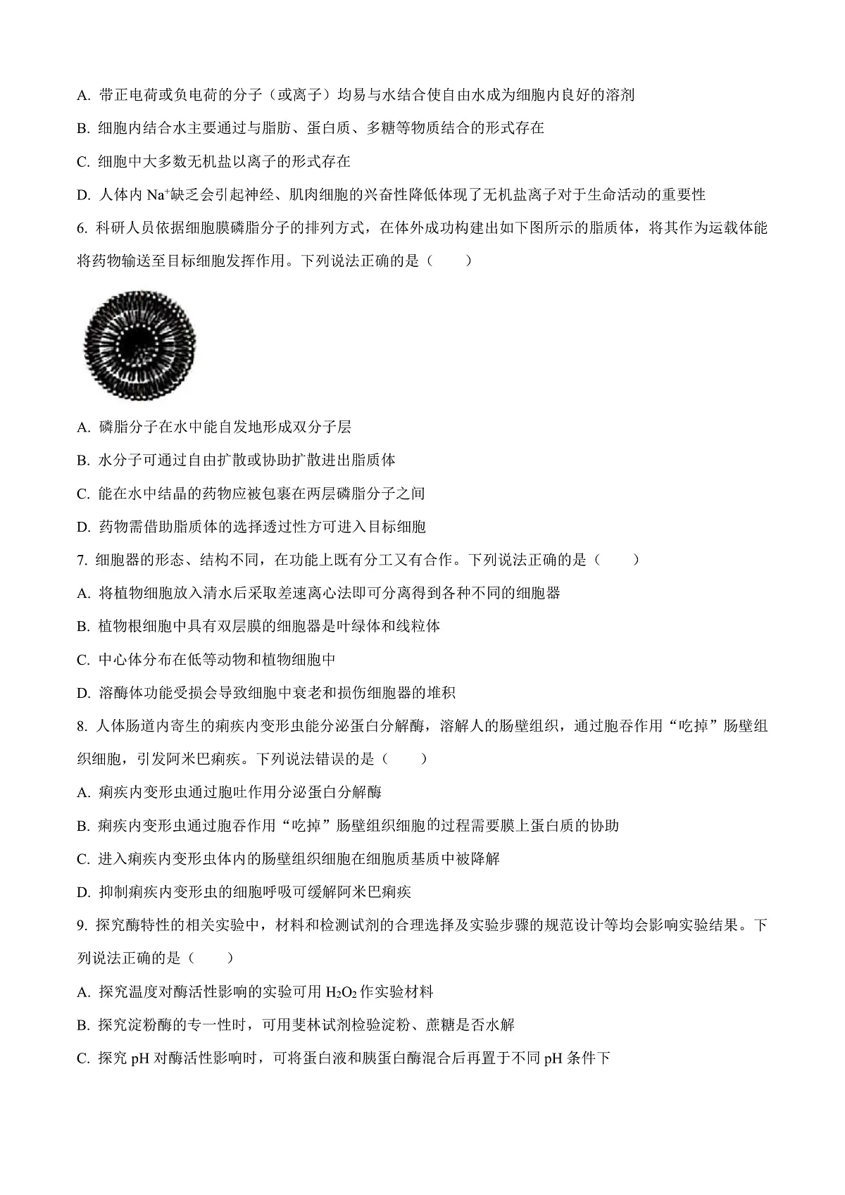 山东省威海市2024-2025学年高一上学期期末考试生物试题 Word版无答案第2页