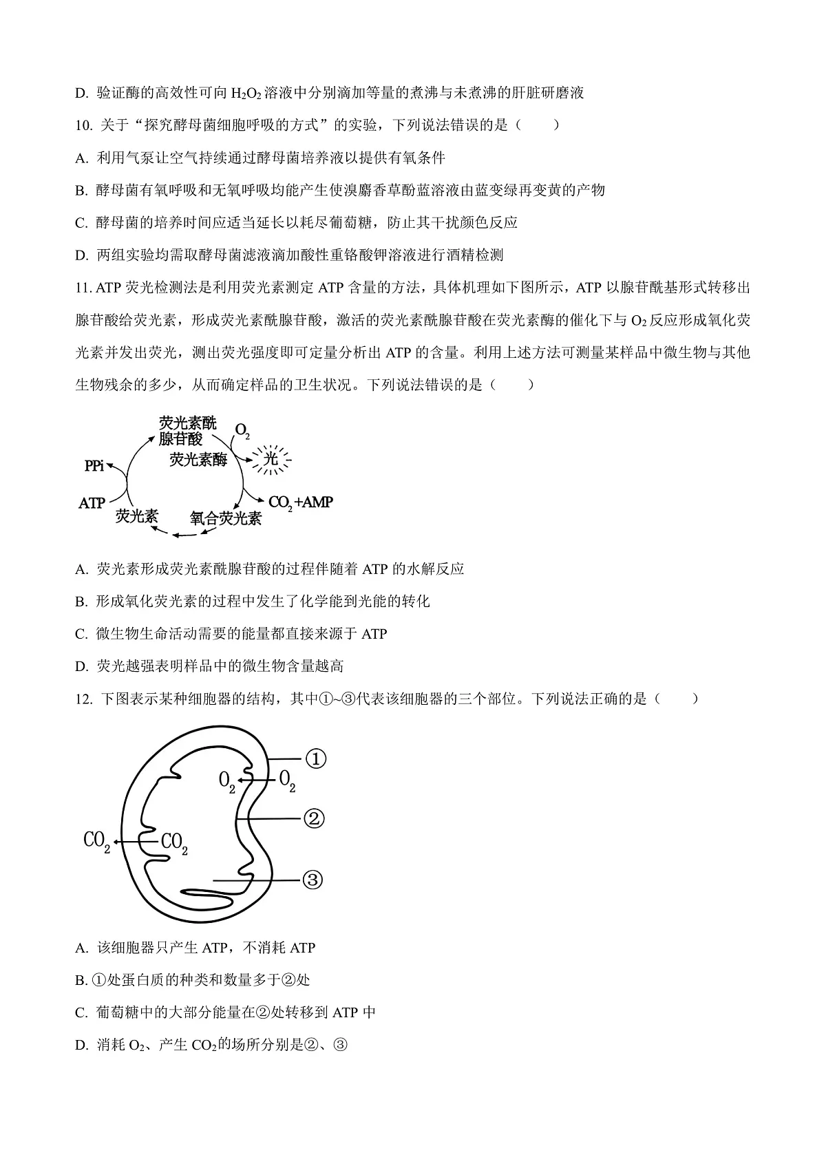 山东省威海市2024-2025学年高一上学期期末考试生物试题 Word版无答案第3页