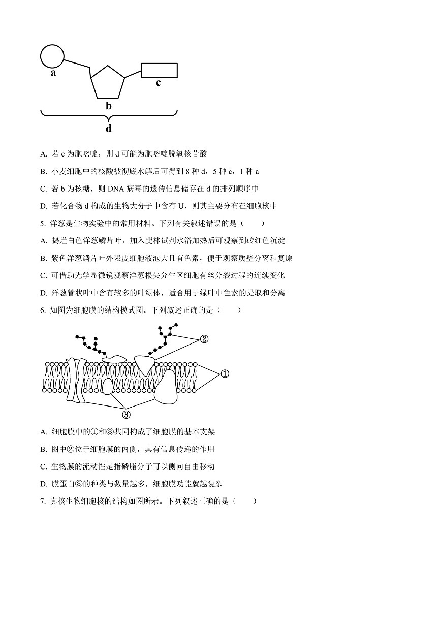 山西省晋中市2024-2025学年高一上学期期末调研测试生物试卷  Word版无答案第2页