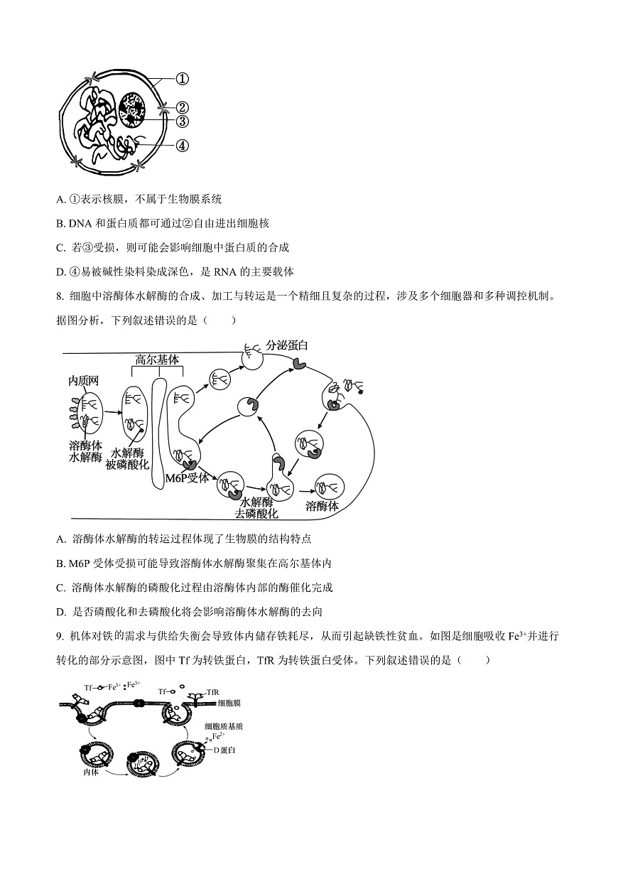 山西省晋中市2024-2025学年高一上学期期末调研测试生物试卷  Word版无答案第3页