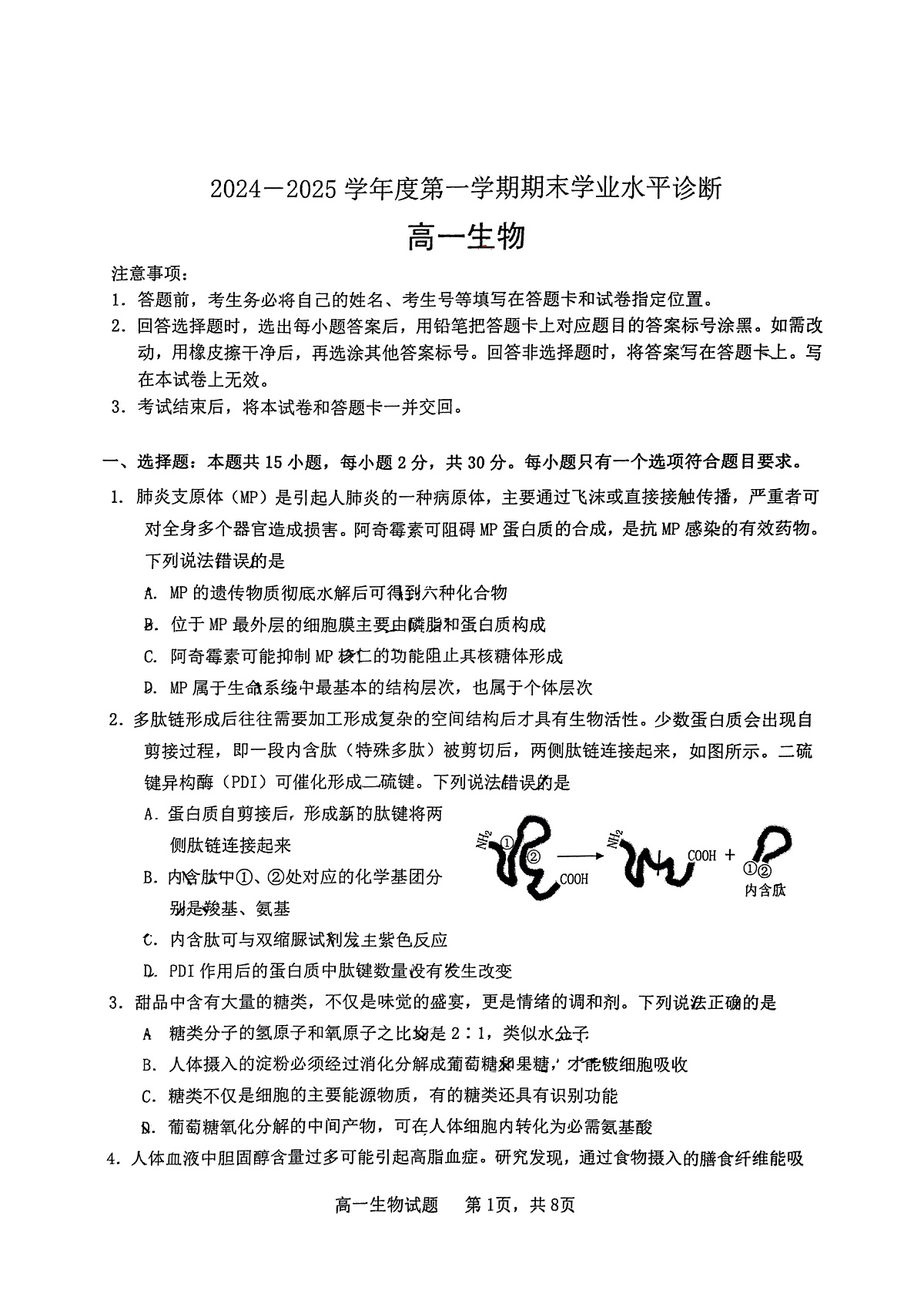山东省烟台市2024-2025年高一上学期期末考试生物试题第1页
