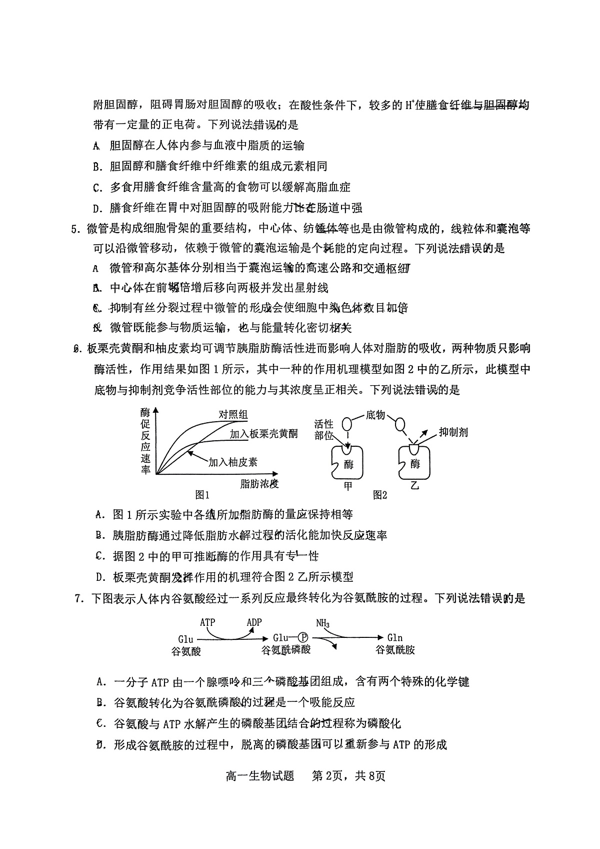 山东省烟台市2024-2025年高一上学期期末考试生物试题第2页