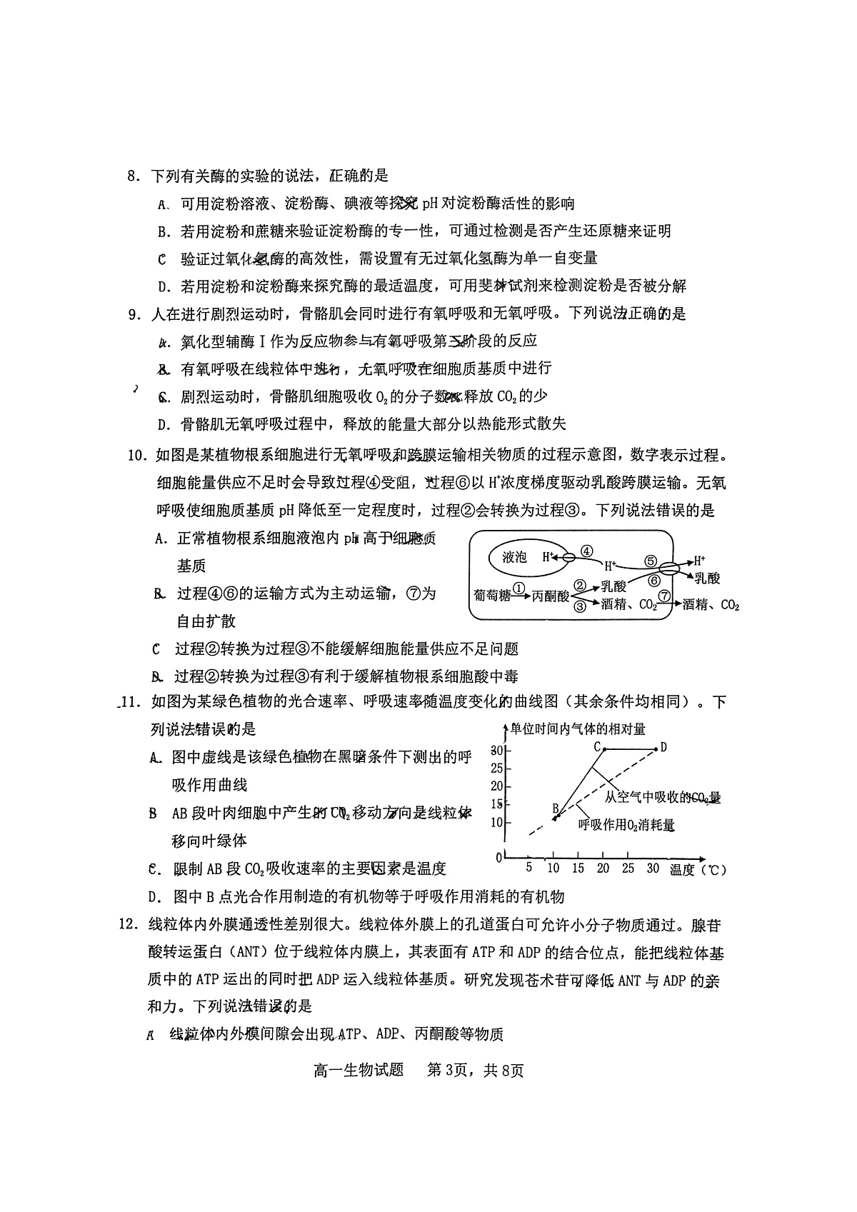 山东省烟台市2024-2025年高一上学期期末考试生物试题第3页