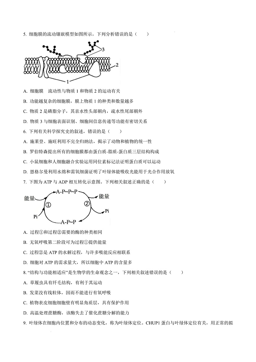 福建省漳州市2024-2025学年高一上学期期末考试生物试题  Word版无答案第3页