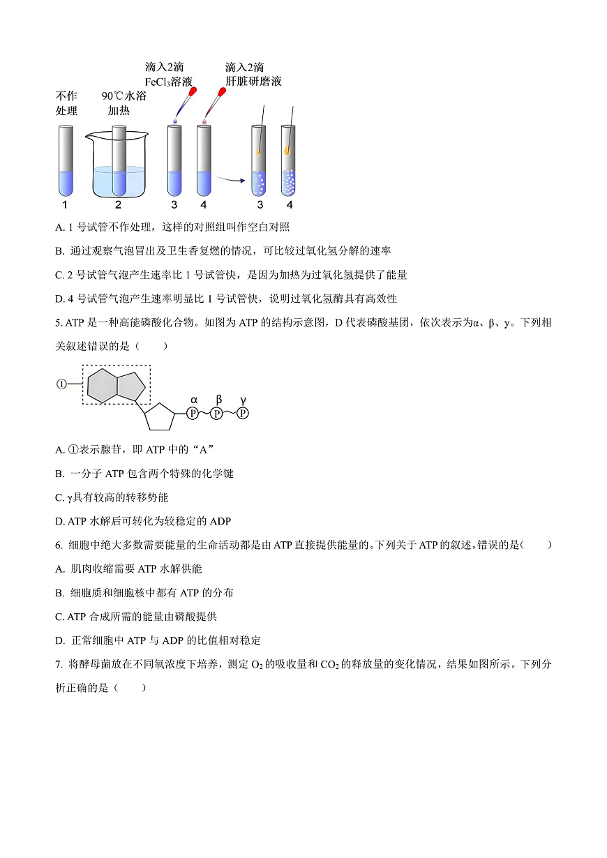 山西省太原市2024-2025学年高一上学期1月期末生物试题  Word版无答案第2页