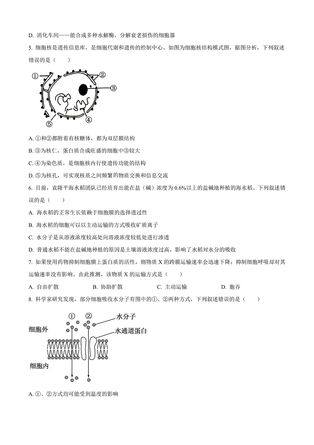 广西百色市2024-2025学年高一上学期1月期末生物试题  Word版无答案第2页