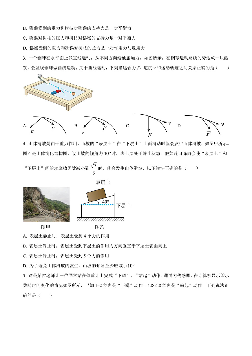 广西百色市普通高中2024-2025学年高一上学期期末教学质量调研物理试题 Word版无答案第2页