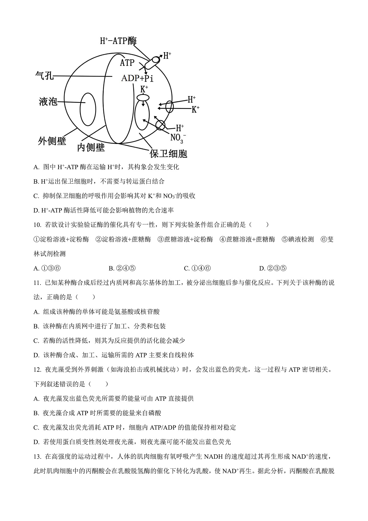 贵州省毕节市金沙县2024-2025学年高一上学期期末考试生物学试卷  Word版无答案第3页